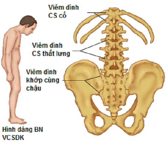 7. Kết luận