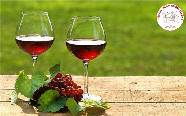Uống rượu vang đỏ một cách điều độ mỗi ngày như món khai vi có ích cho việc giảm đau, ăn ngủ tốt của bệnh nhân thoái hóa cột sống