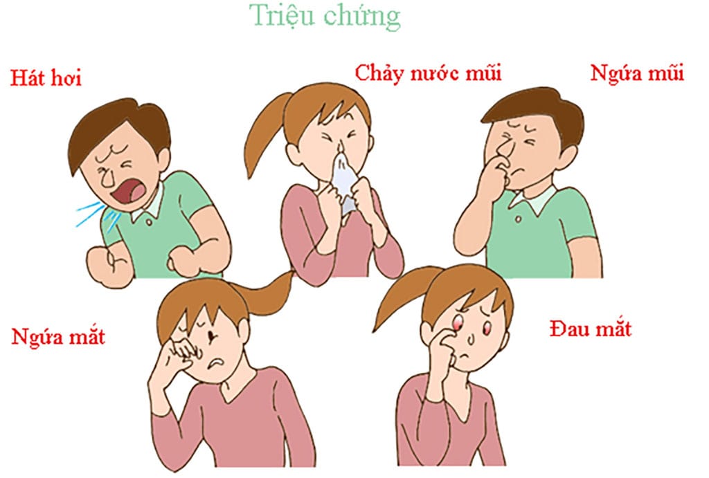 Các biểu hiện điển hình của viêm mũi dị ứng